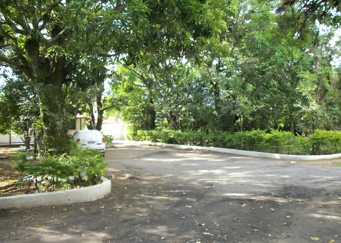 Pousada Ypê AmareloPousada